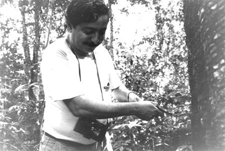Chico Mendes working with a rubber tree (Wikipedia Commons (Miranda Smith, Miranda Productions, Inc.))